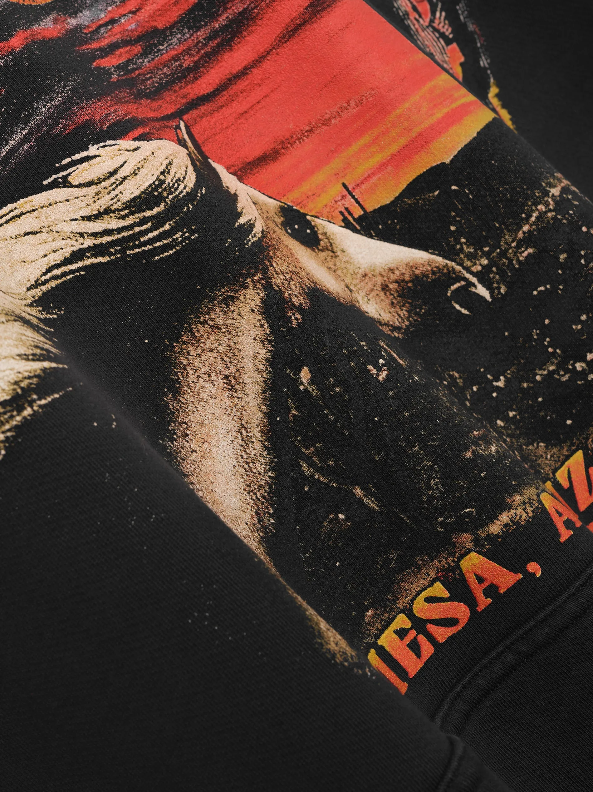 MESA STALLION HOODIE sold by Rhude product image thumbnail 4