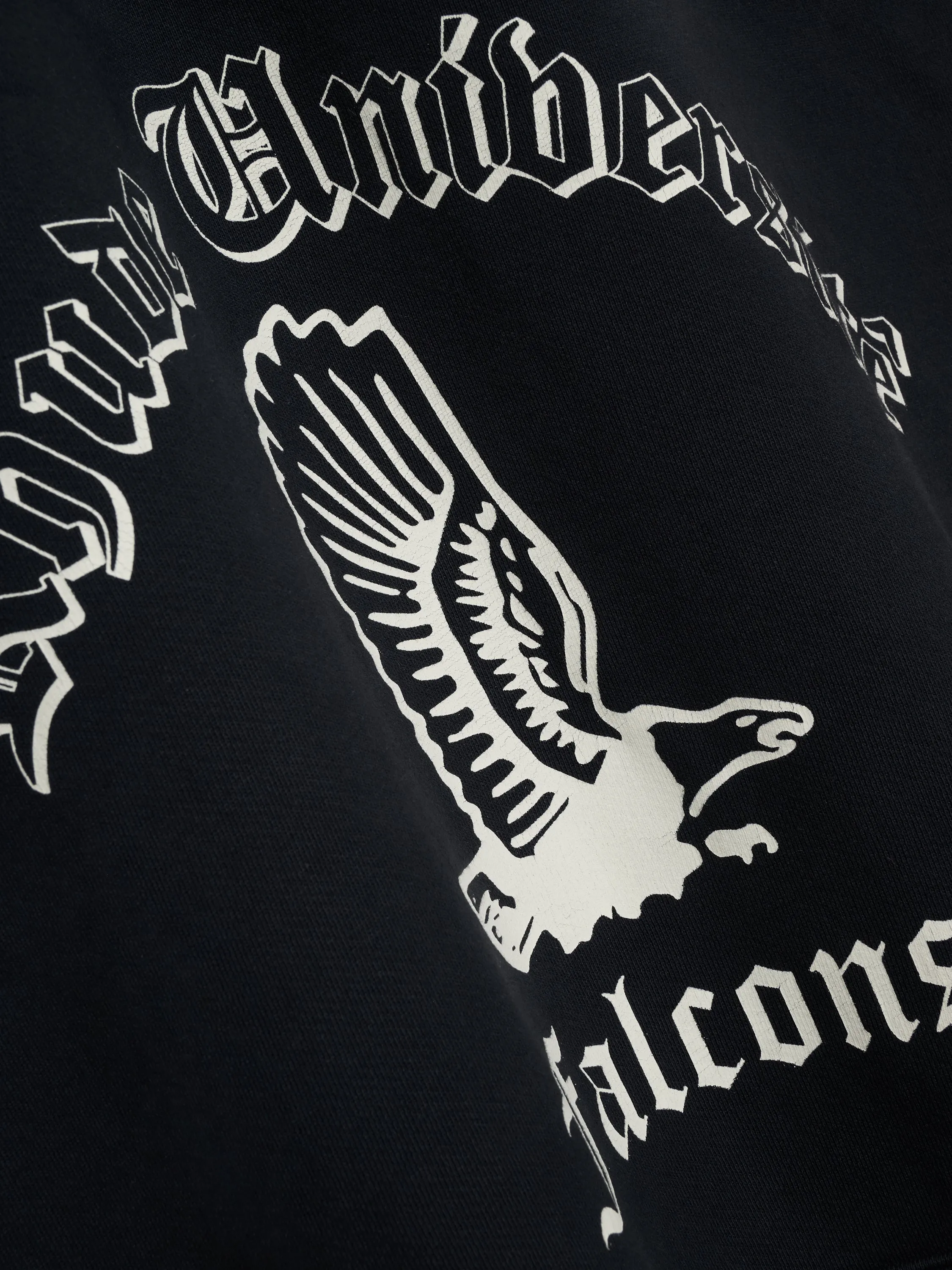 COLLEGIATE FALCONS HOODIE sold by Rhude product image thumbnail 4