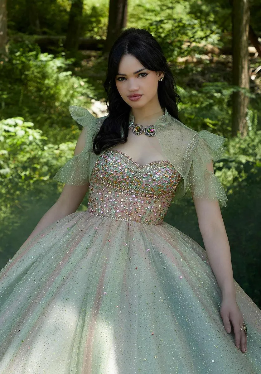 Valencia Quinceanera by Morilee Dress 60192 sold by Terry costa product image thumbnail 4