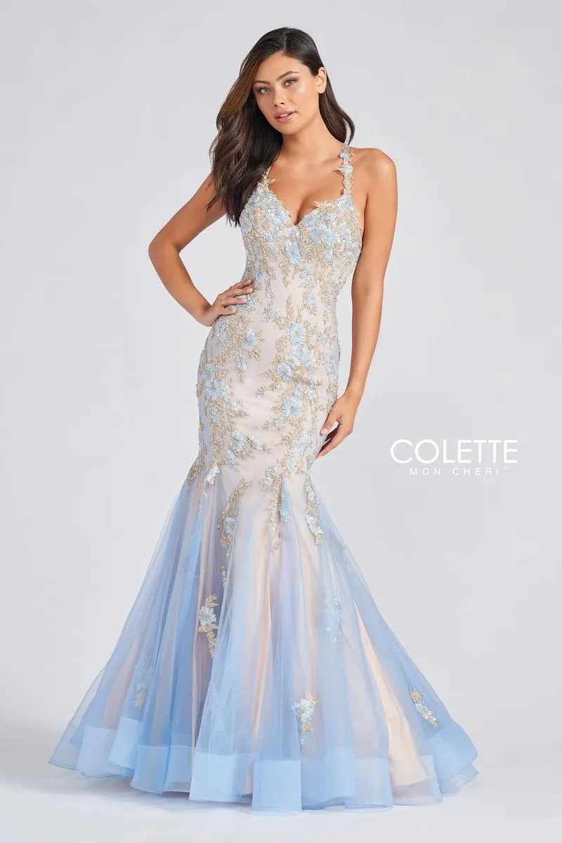 Colette by Daphne Dress CL12268 sold by Terry costa