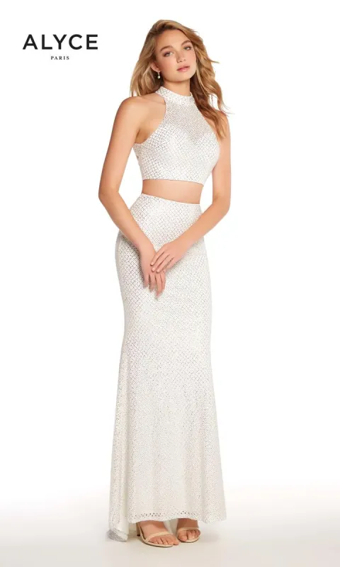 Alyce Prom Dress 60161 sold by Terry costa