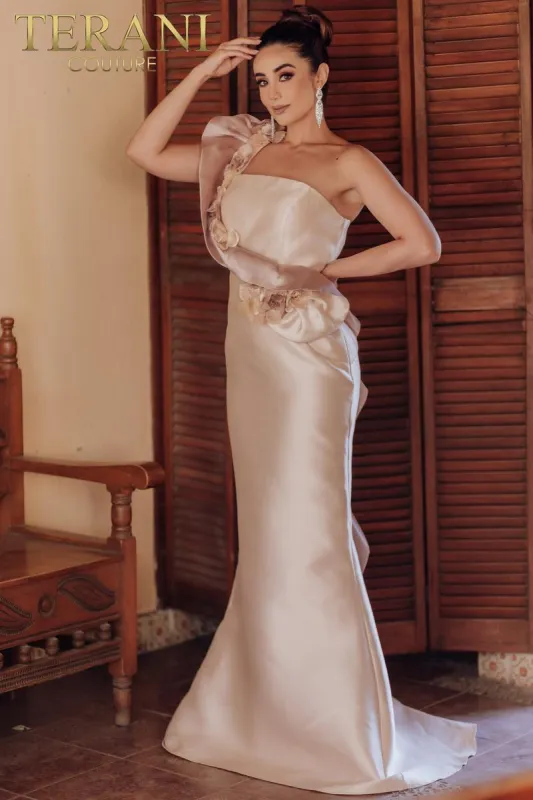 Terani Evenings Dress 2011E2424 sold by Terry costa