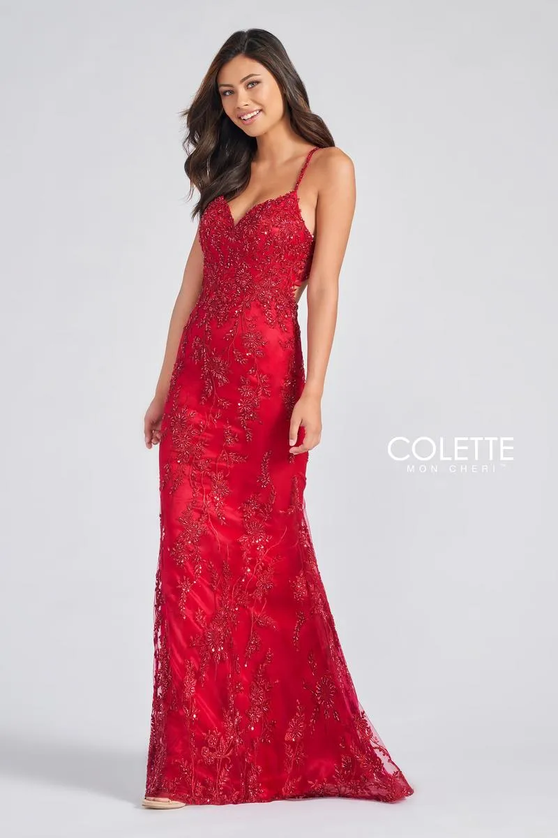 Colette by Daphne Dress CL12240 sold by Terry costa