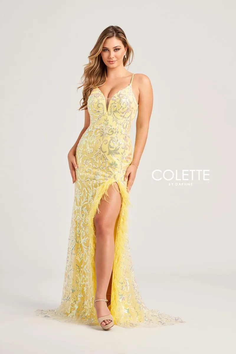 Colette by Daphne Dress CL5155 sold by Terry costa product image thumbnail 4