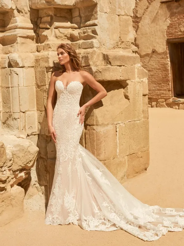 Maggie Sottero Designs Dress 22MS500 sold by Terry costa