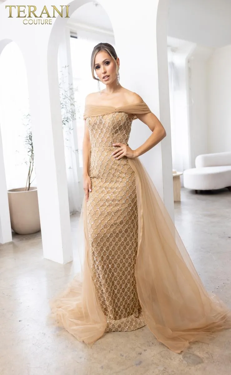 Terani Mother of the Bride Dress 241M2706 sold by Terry costa