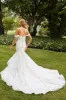 Sophia Tolli "Indiana" Bridal Gown Y22262 sold by Terry costa