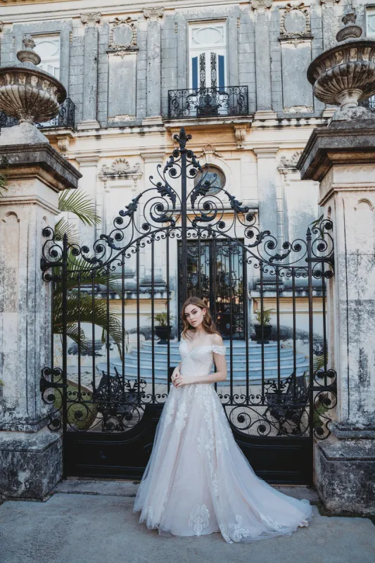 Allure Bridals Wedding Dress 9619 sold by Terry costa