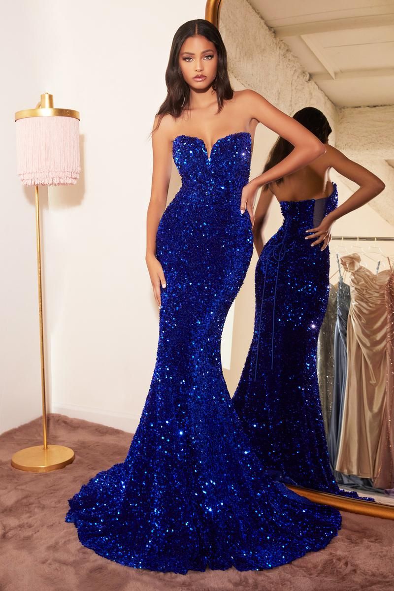 Ladivine Dress CH151 sold by Terry costa product image thumbnail 4