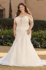 Sophia Tolli "Layla" Bridal Gown Y3156 sold by Terry costa