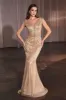 Ladivine by Cinderella Divine Dress CZ0029 sold by Terry costa
