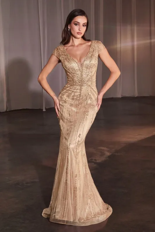 Ladivine by Cinderella Divine Dress CZ0029 sold by Terry costa