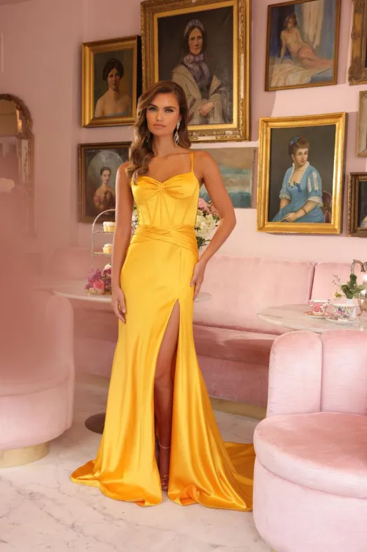 Ava Presley Satin Corset Prom Dress 47035 sold by Terry costa