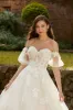 Sophia Tolli Bridal Dress Y12231 sold by Terry costa