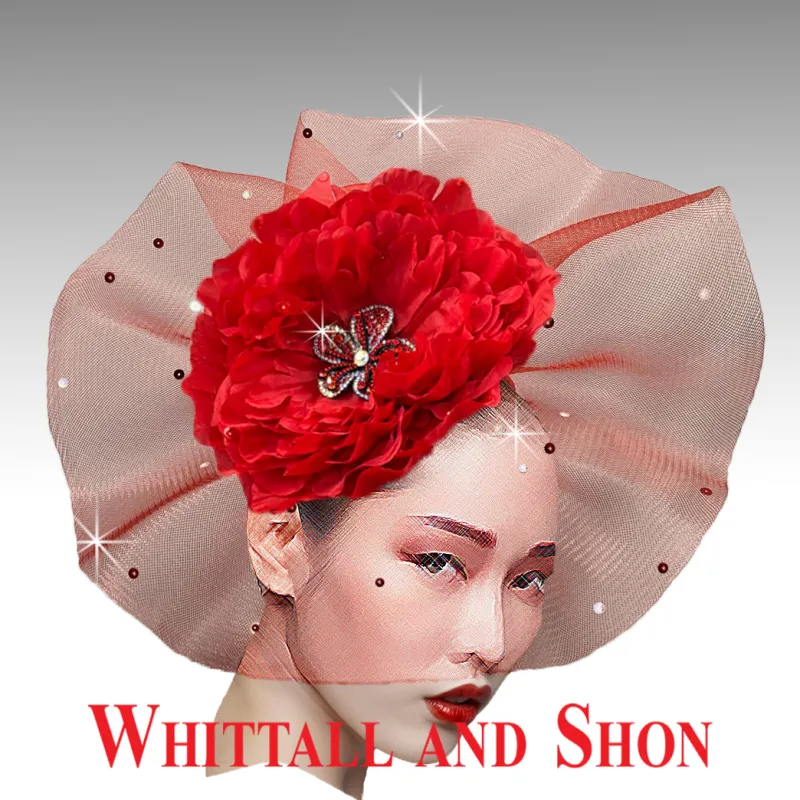 Whittall & Shon "Coco" Fascinator FA2987 sold by Terry costa