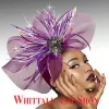 Whittall & Shon "Niger" Fascinator Hat FA3033 sold by Terry costa