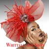 Whittall & Shon "Niger" Fascinator Hat FA3033 sold by Terry costa