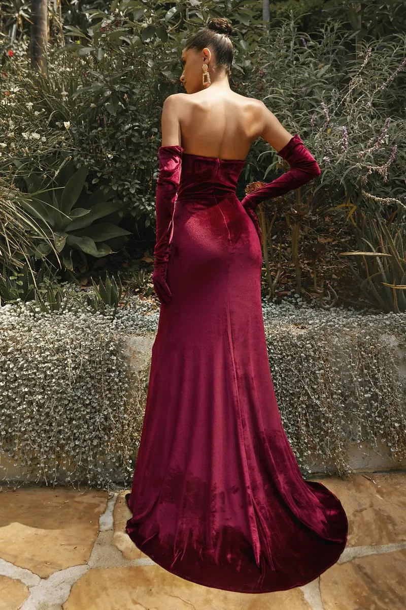 Ladivine Dress CH176 sold by Terry costa product image thumbnail 2