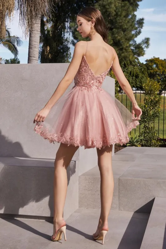 Ladivine Dress CD0213 sold by Terry costa