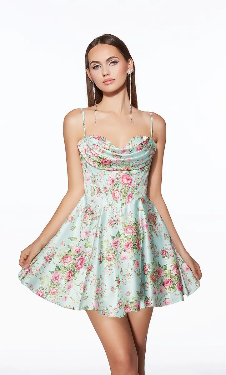 Alyce Paris Homecoming Dress 30043 sold by Terry costa