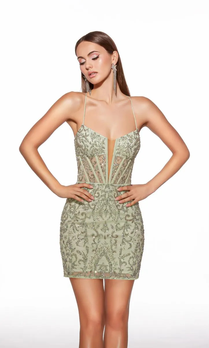Alyce Paris Plunging Lace Neckline HoCo Dress 40053 sold by Terry costa
