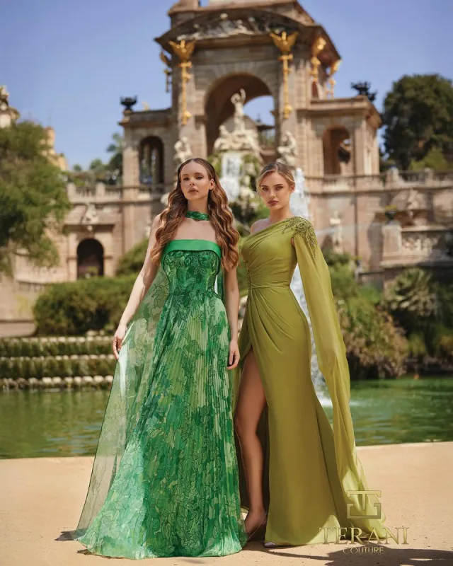 Terani Evenings Dress 261E6093 made by Terry costa