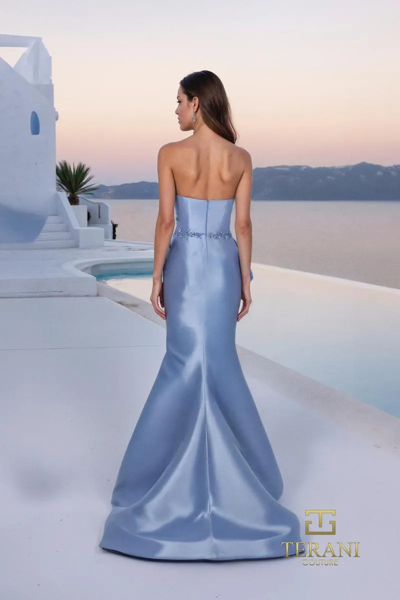 Terani Mother of the Bride Dress 261M6462 sold by Terry costa product image thumbnail 4