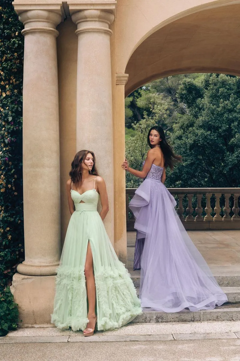 Alyce Prom Dress 62043 sold by Terry costa product image thumbnail 5
