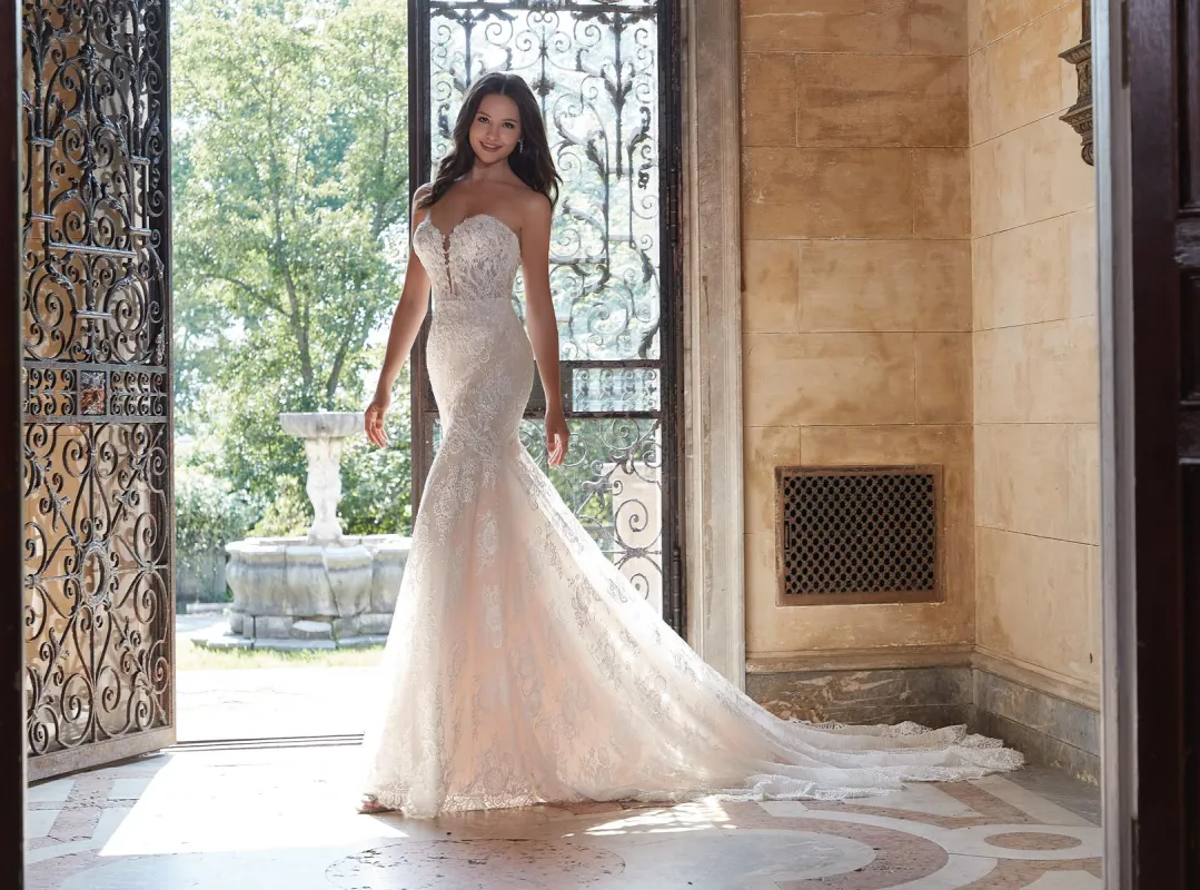 Blu Bridal by Morilee Dress 4168 sold by Terry costa