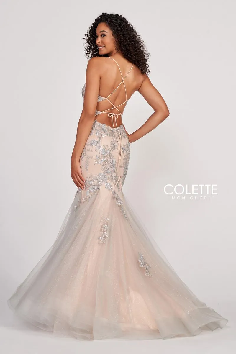Colette by Daphne Dress CL2004 sold by Terry costa product image thumbnail 2