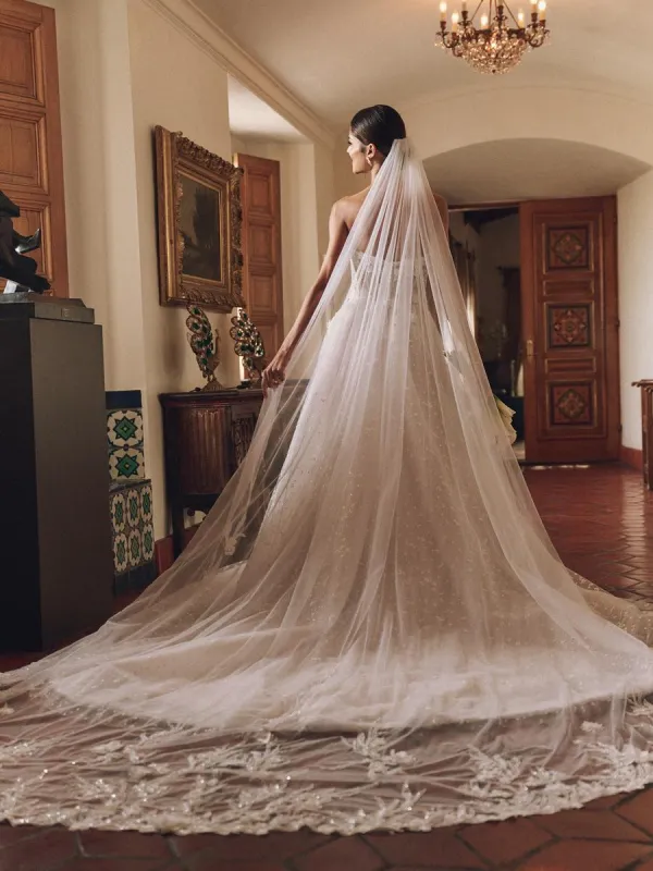 Sottero & Midgley by Maggie Sottero "Athlone" Bridal Gown 24SB753AB sold by Terry costa