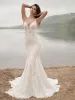 Sottero &amp; Midgley by Maggie Sottero Designs Dress 22SK903D02 sold by Terry costa