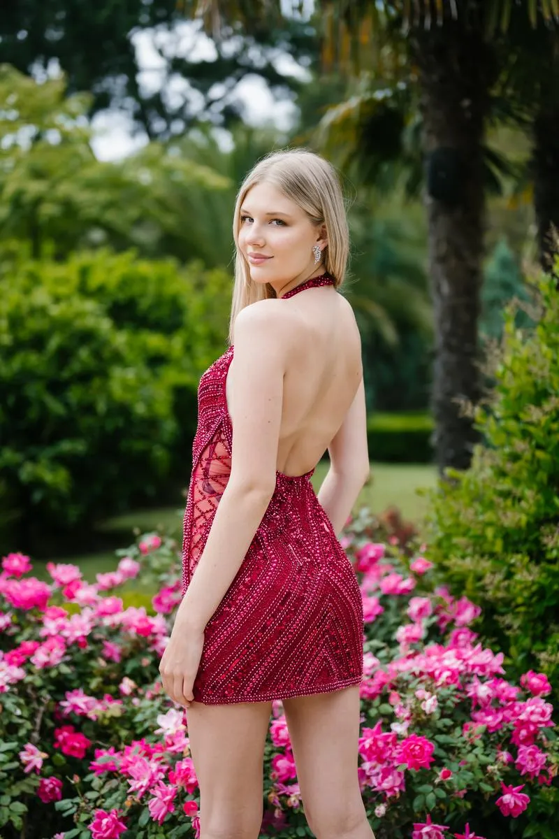 Aleta Dress 1307 sold by Terry costa product image thumbnail 4