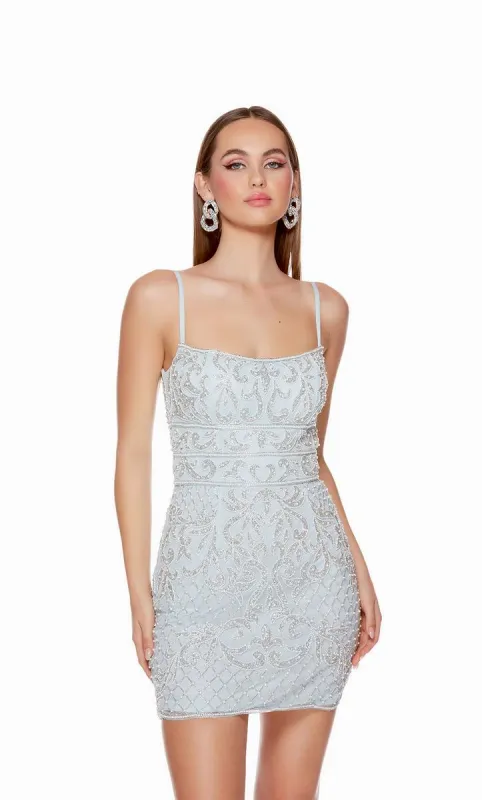 Alyce Paris Homecoming Dress 4660 sold by Terry costa