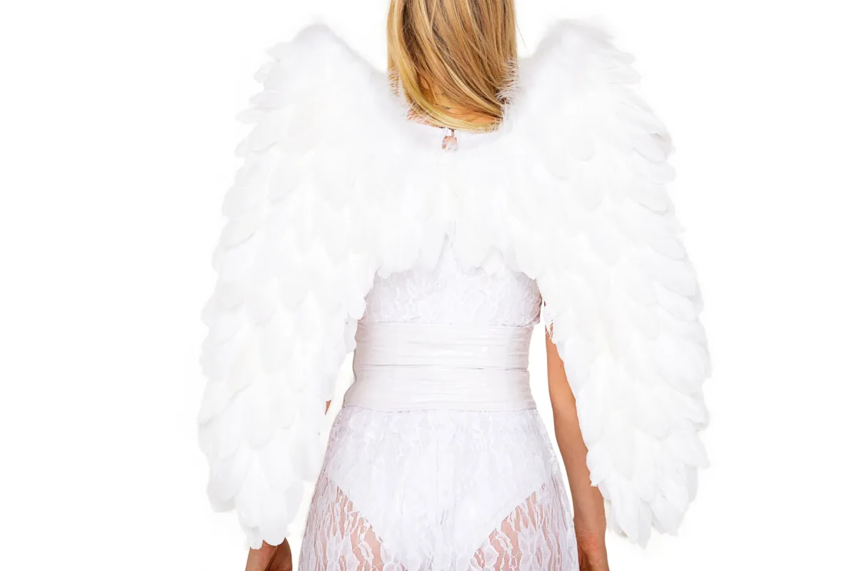 Deluxe Feathered Wings sold by Shoe Freaks