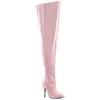 Pleaser Seduce-3000WC sold by Shoe Freaks