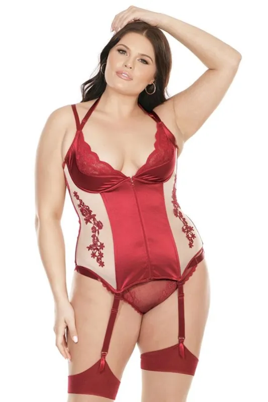 Sheer Stretch Nylon & Satin Bustier sold by Shoe Freaks