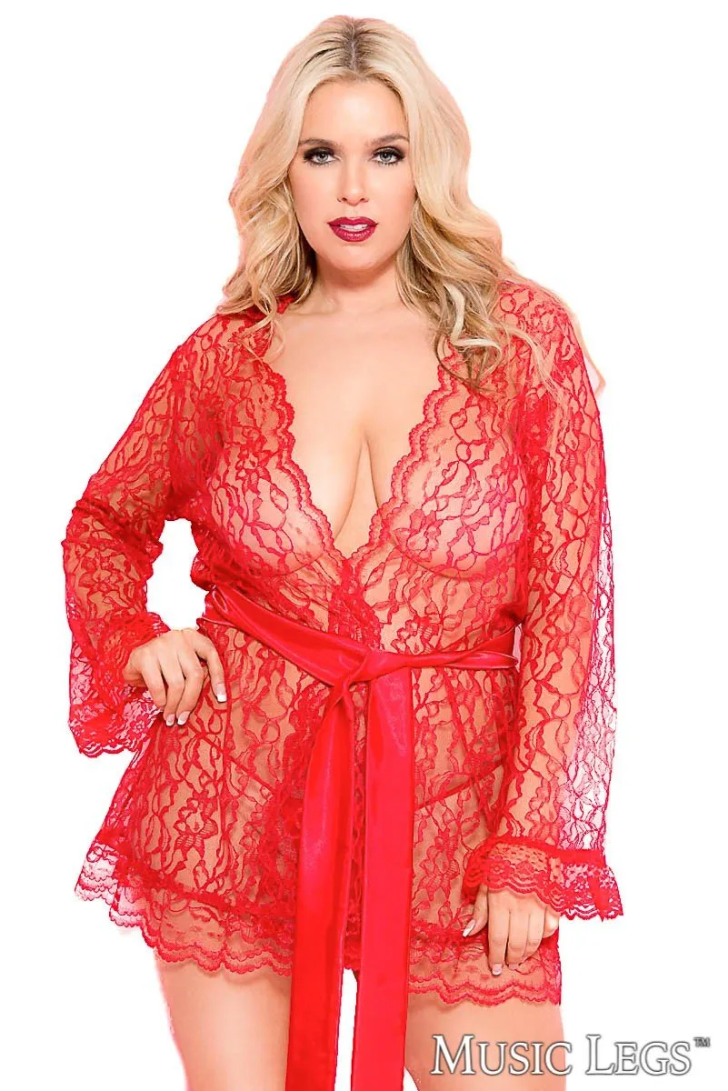 Sheer Lace Robe sold by Shoe Freaks