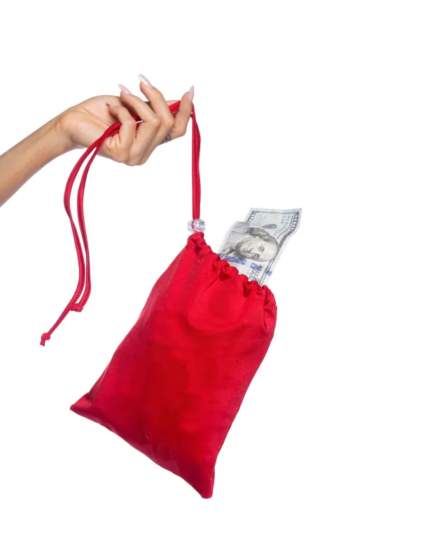 Spandex Iridescent Money Bag sold by Shoe Freaks