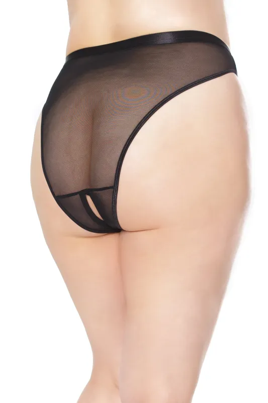 Crotchless Mesh Panty sold by Shoe Freaks