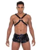 Mens Pride Mesh Vinyl Runner Shorts sold by Shoe Freaks