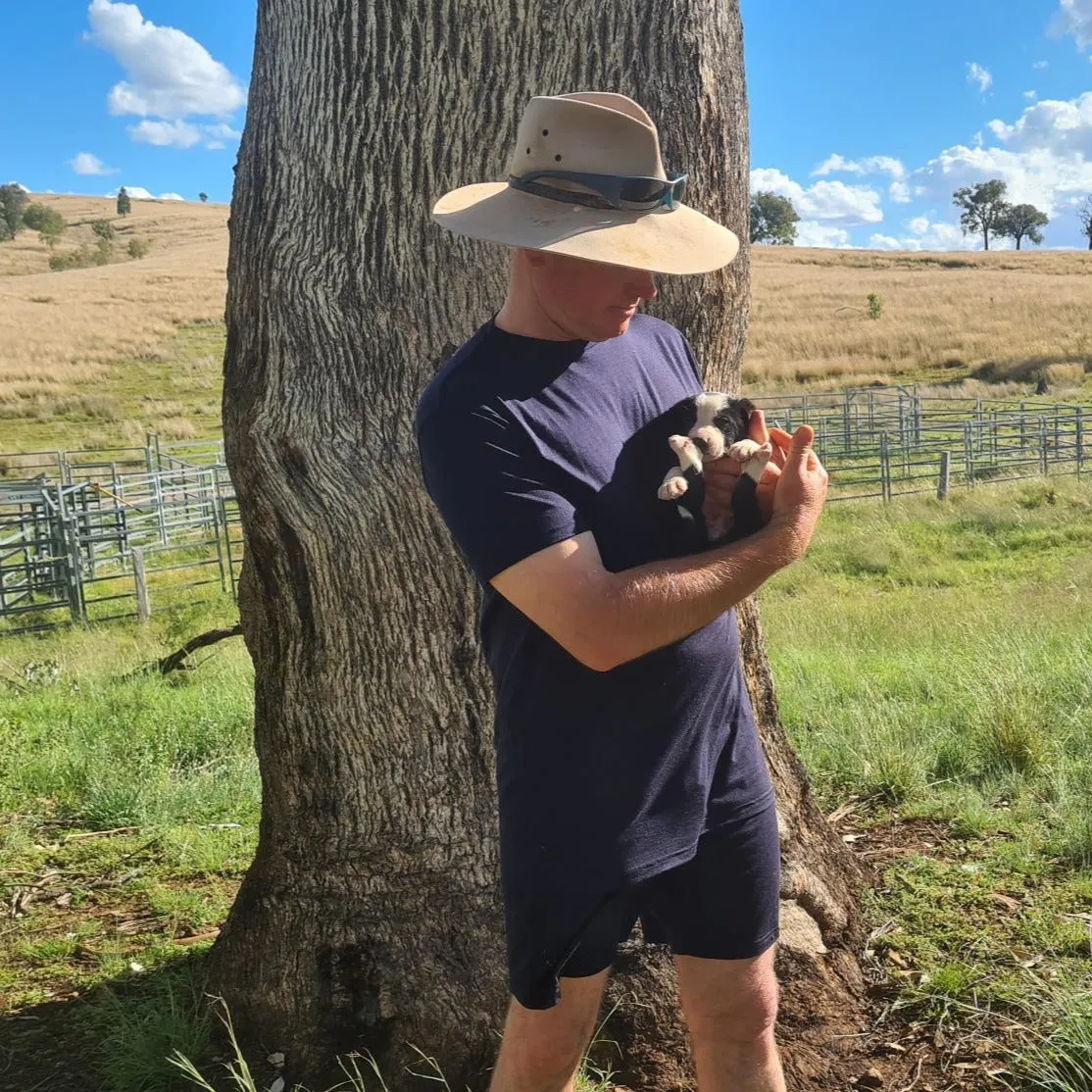 Men's Short Sleeve Merino Tee sold by Sleepy Merino product image thumbnail 4
