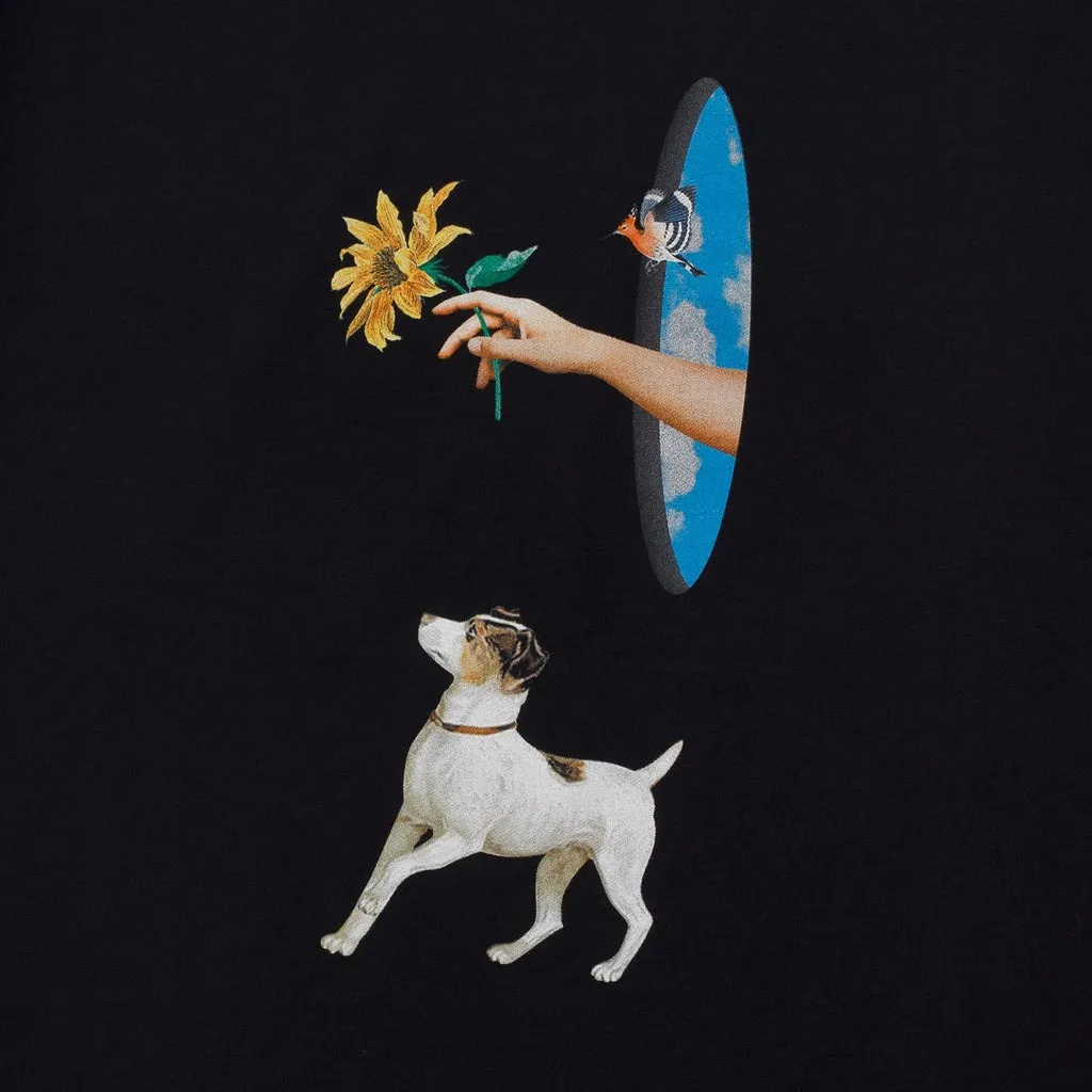 T-Shirt CURIOUS BLACK sold by Screamous product image thumbnail 3