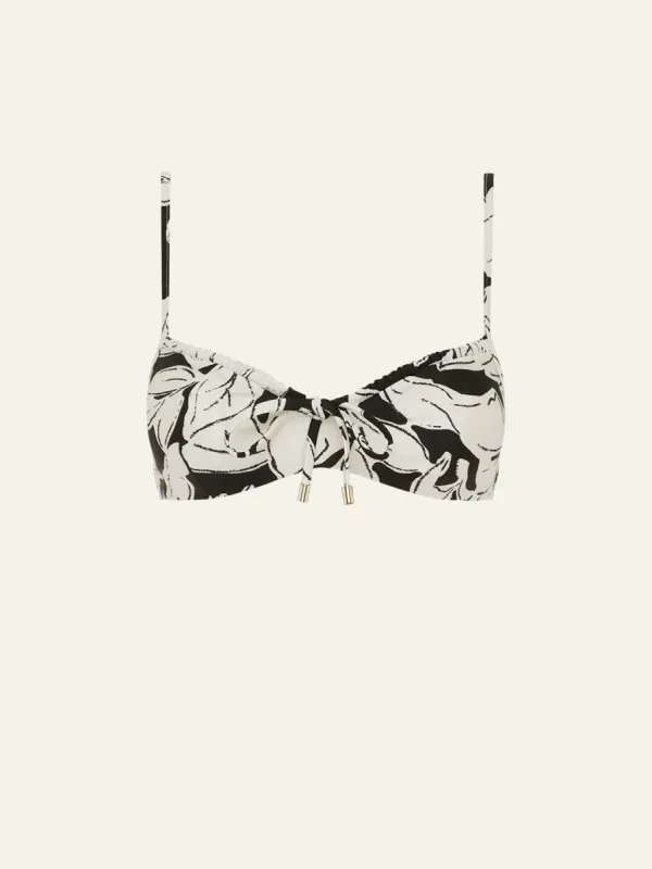 Solstice Crop sold by Peony