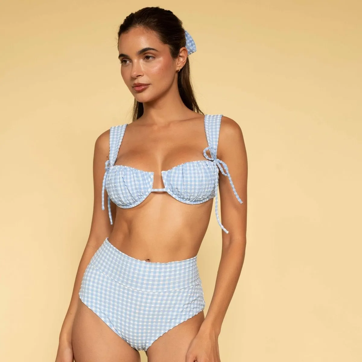 Peri Micro Gingham Added Coverage High Rise Bikini Bottom sold by Larroude product image thumbnail 2