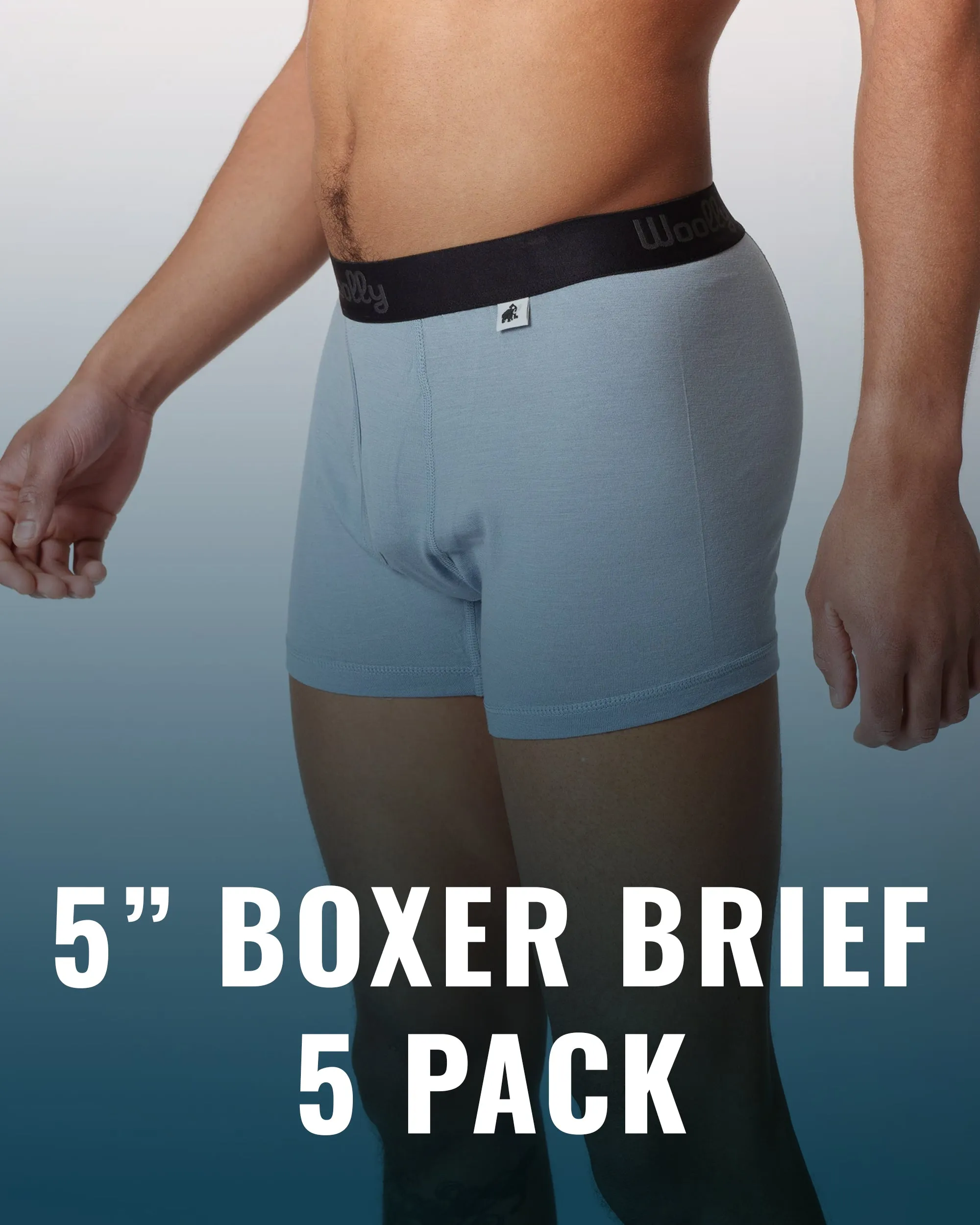 Everyday 5in Boxer Brief 5 Pack sold by Woolly Clothing Co
