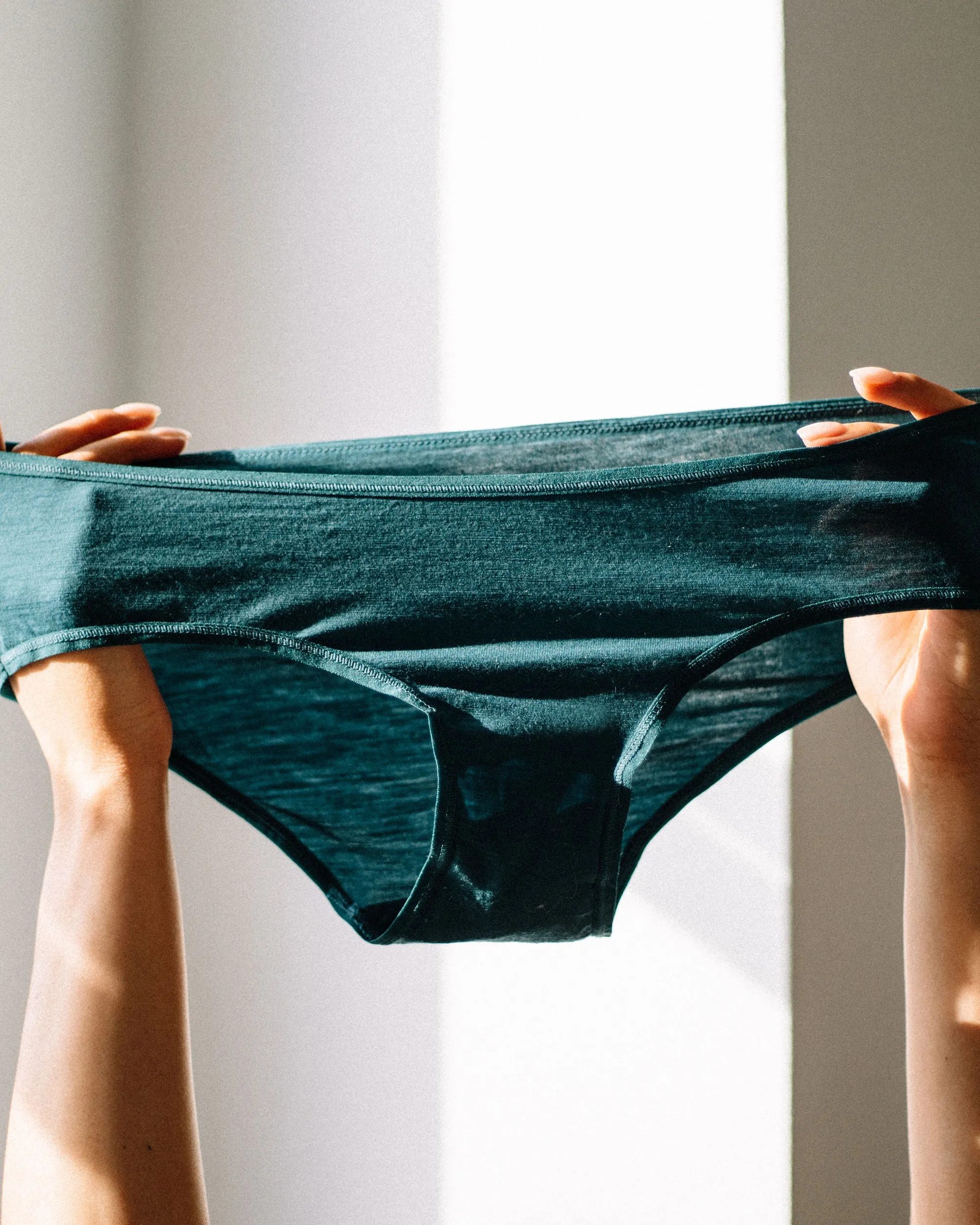 Hipster Brief Closeout sold by Woolly Clothing Co product image thumbnail 2