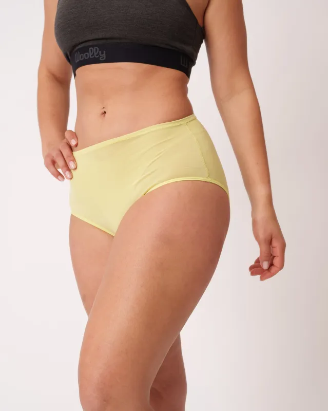 High Waisted Bikini Brief Closeout sold by Woolly Clothing Co