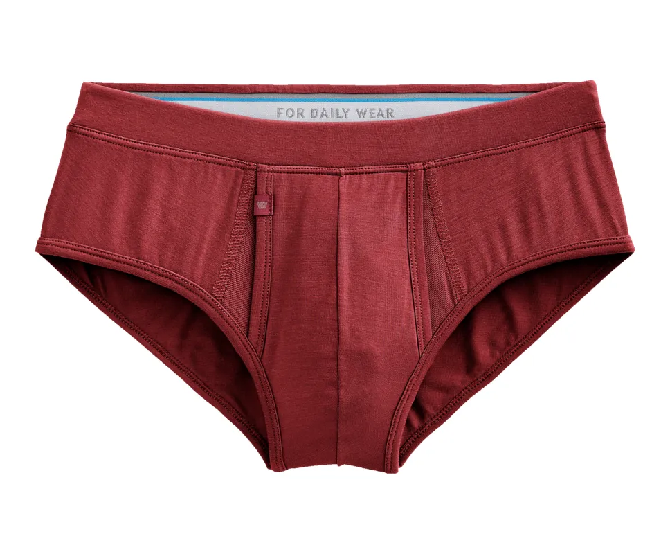 SILVER HD Brief sold by Mack Weldon