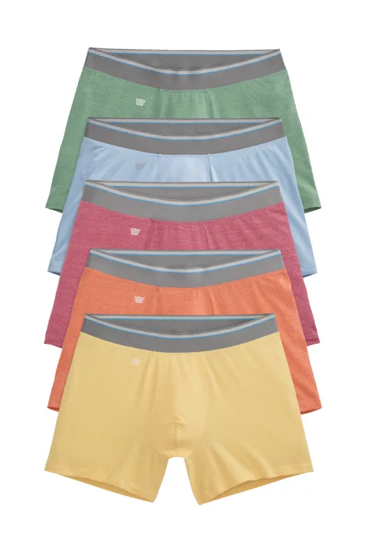 5-Pack AIRKNITˣ Boxer Briefs Colors of Summer sold by Mack Weldon